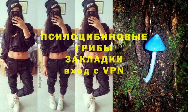 бутират Арсеньев